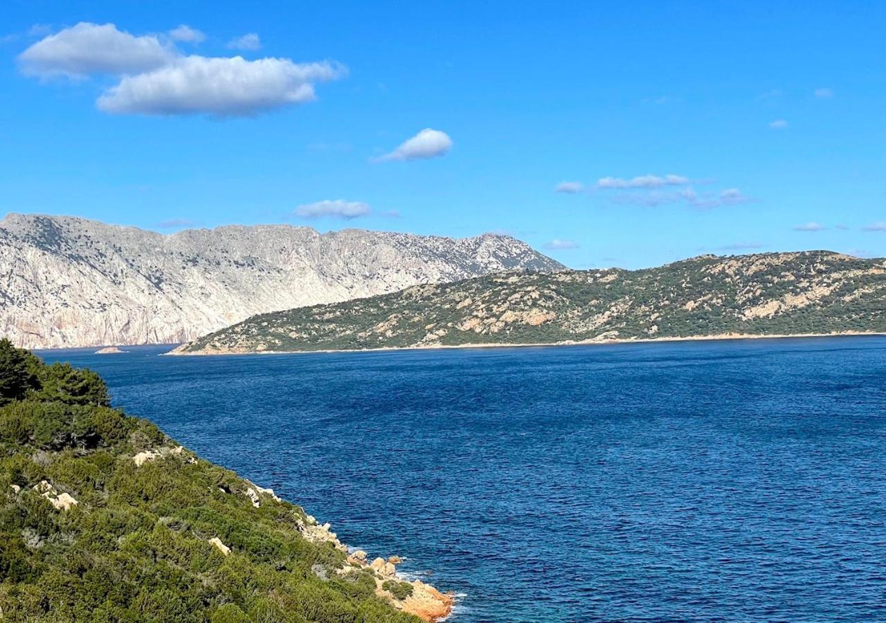 San Teodoro Punta Est Delizioso Monolocale Vista Mare Lägenhet Exteriör bild