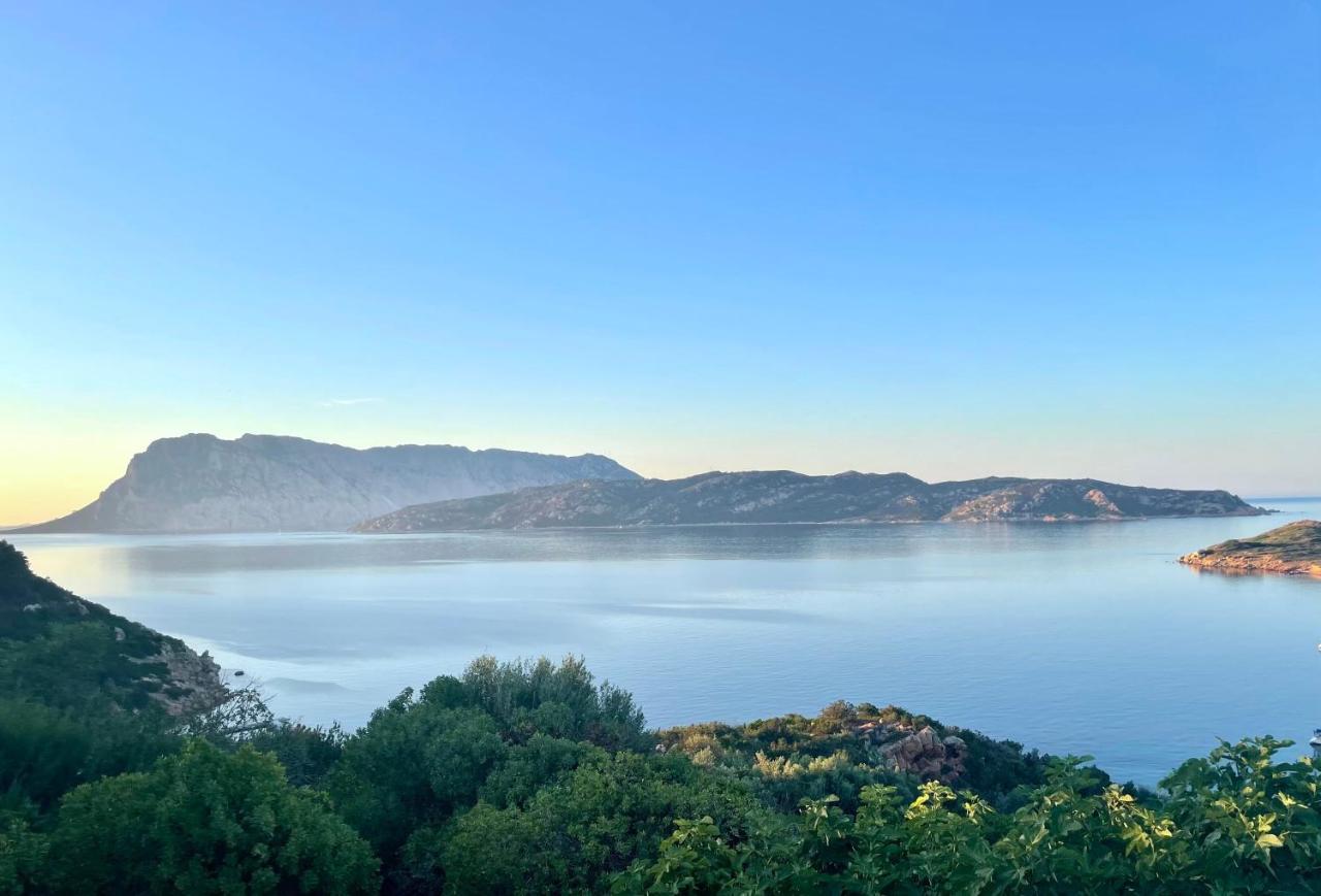 San Teodoro Punta Est Delizioso Monolocale Vista Mare Lägenhet Exteriör bild