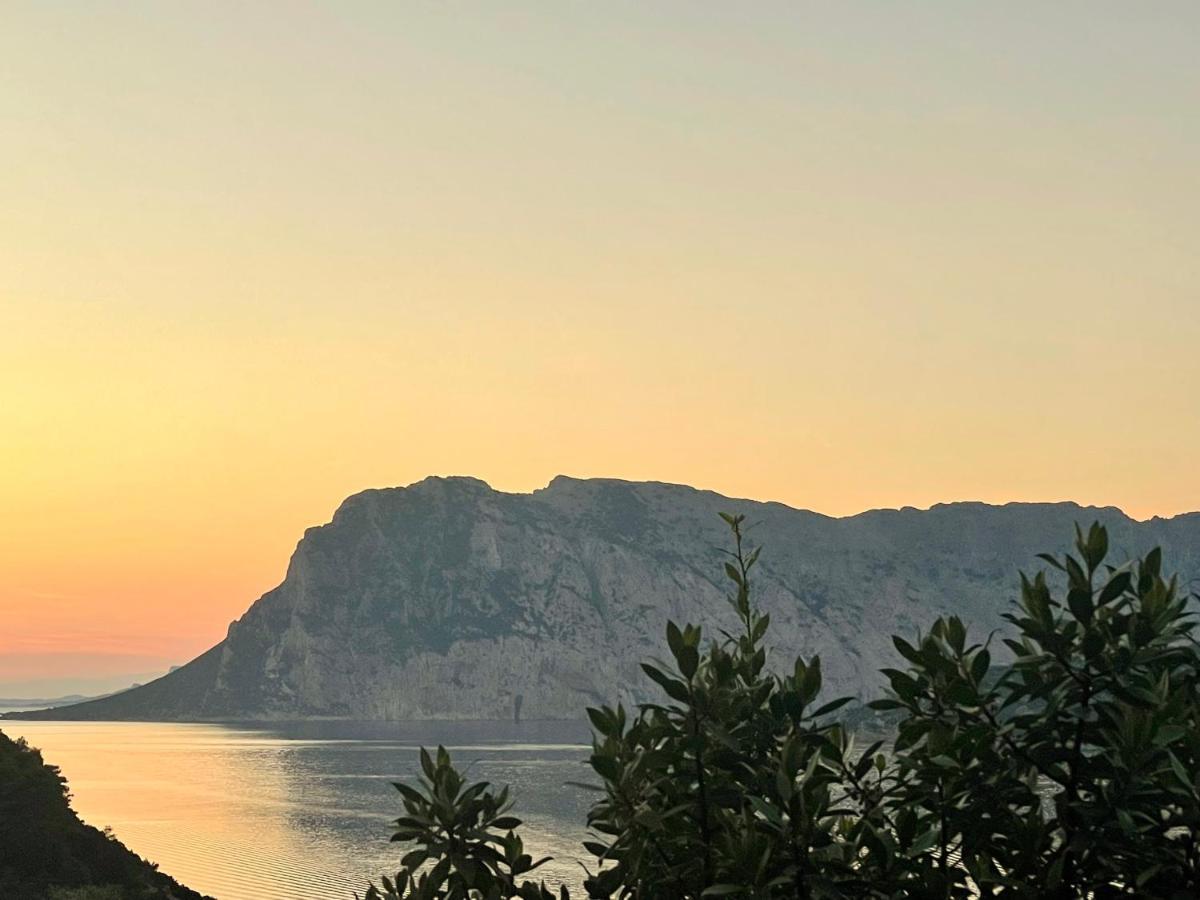 San Teodoro Punta Est Delizioso Monolocale Vista Mare Lägenhet Exteriör bild