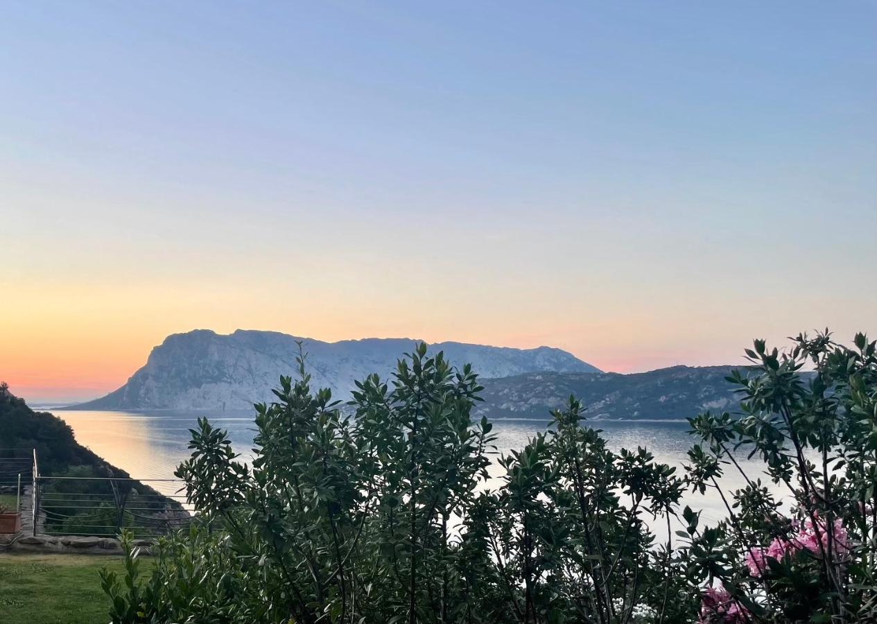 San Teodoro Punta Est Delizioso Monolocale Vista Mare Lägenhet Exteriör bild