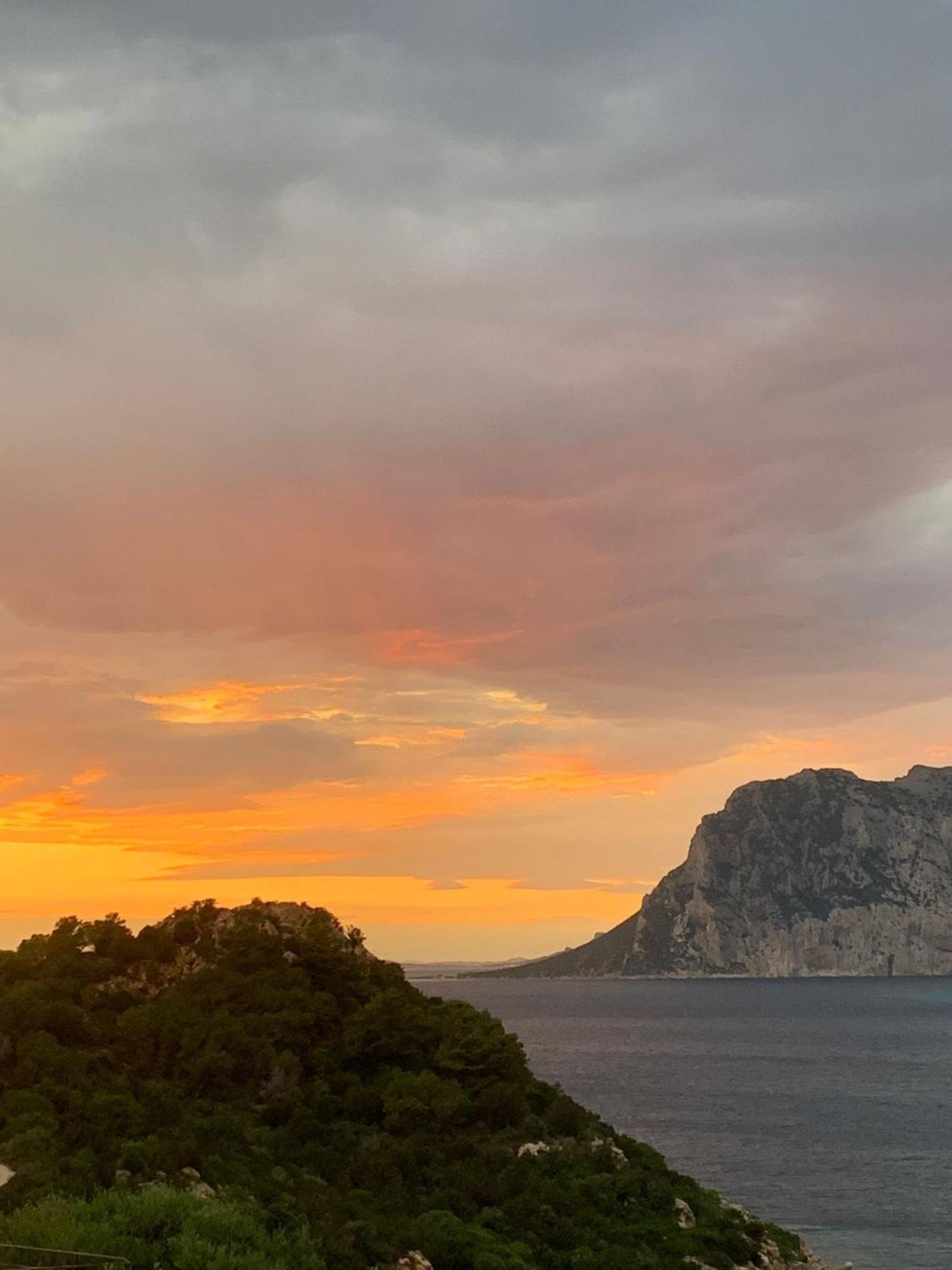 San Teodoro Punta Est Delizioso Monolocale Vista Mare Lägenhet Exteriör bild